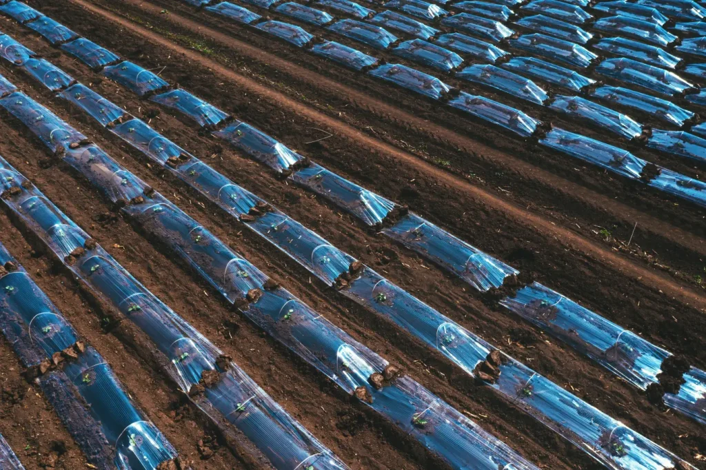 Toprak Altı Damlama 4