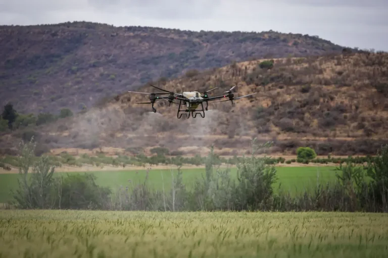 Tarlada drone ve sensörlerle üretim takibi yapan modern tarım alanı