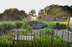 Yeşil bir bahçede damla ve sprinkler sulama elemanlarıyla düzenlenmiş sulama alanı