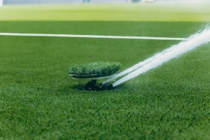 A turf area is watered by low spray sprinklers during an irrigation cycle.